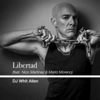 Libertad artwork