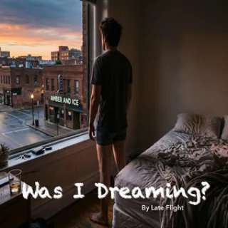 Was I Dreaming? artwork