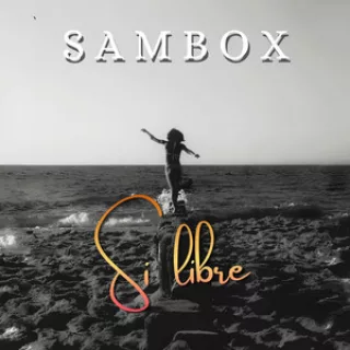 Si libre artwork