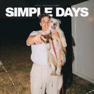 Simple days artwork