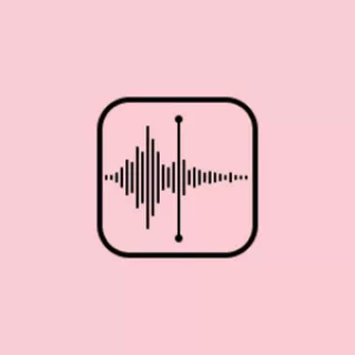 VocalHost